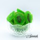 Dried Kiwi